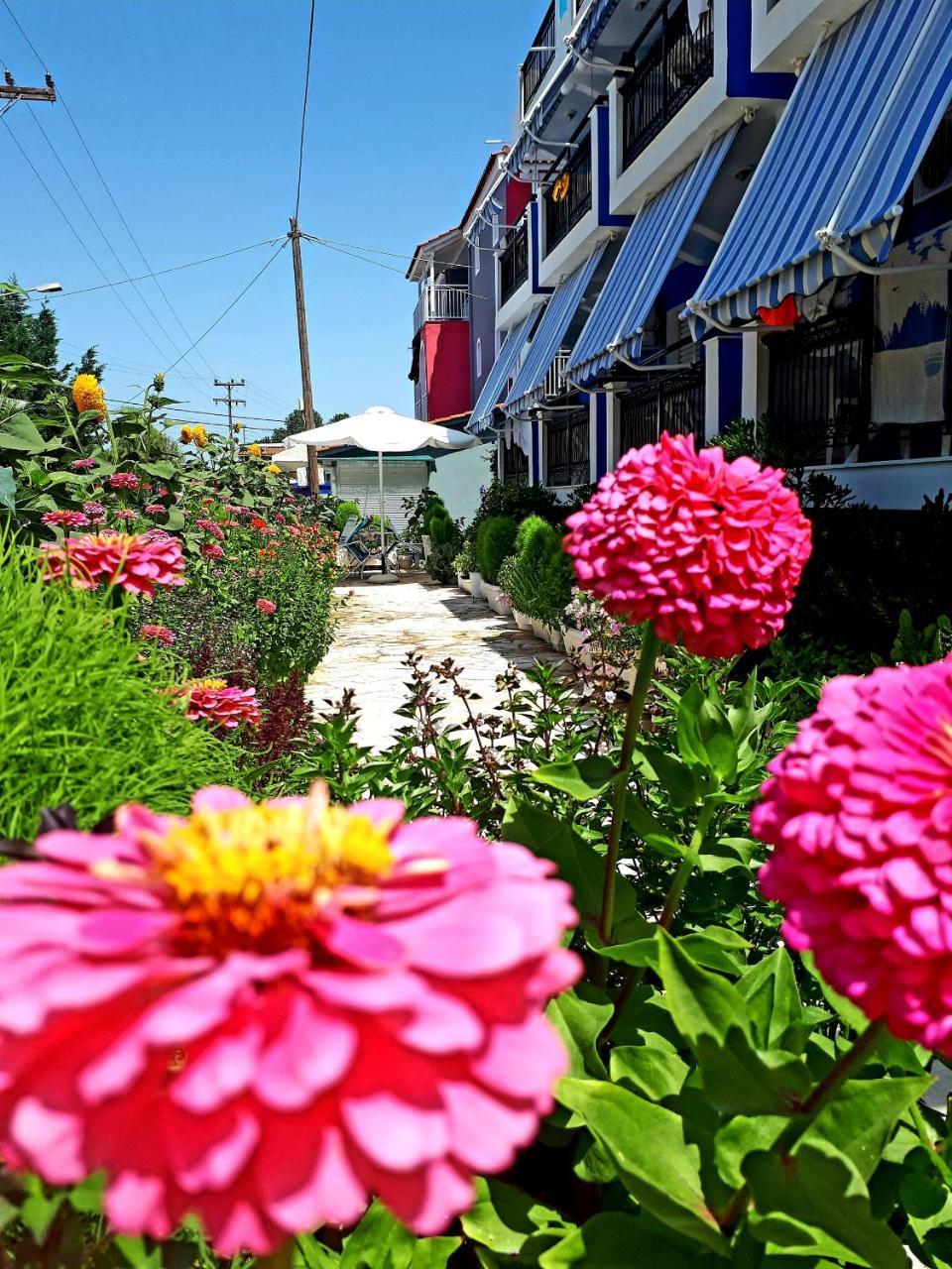 Zante Dahlia Hotel Laganas Bagian luar foto