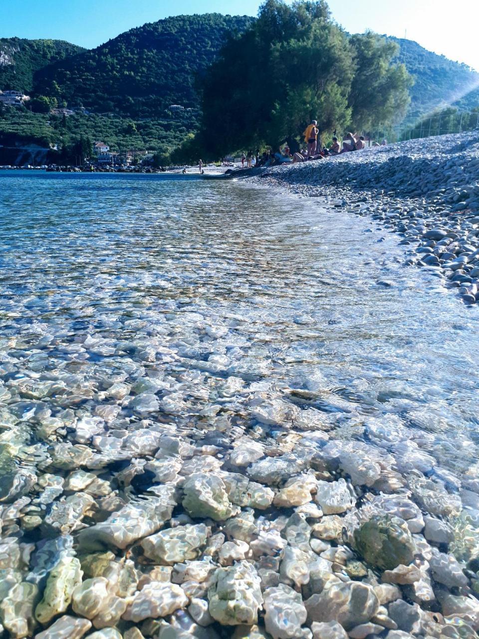 Zante Dahlia Hotel Laganas Bagian luar foto