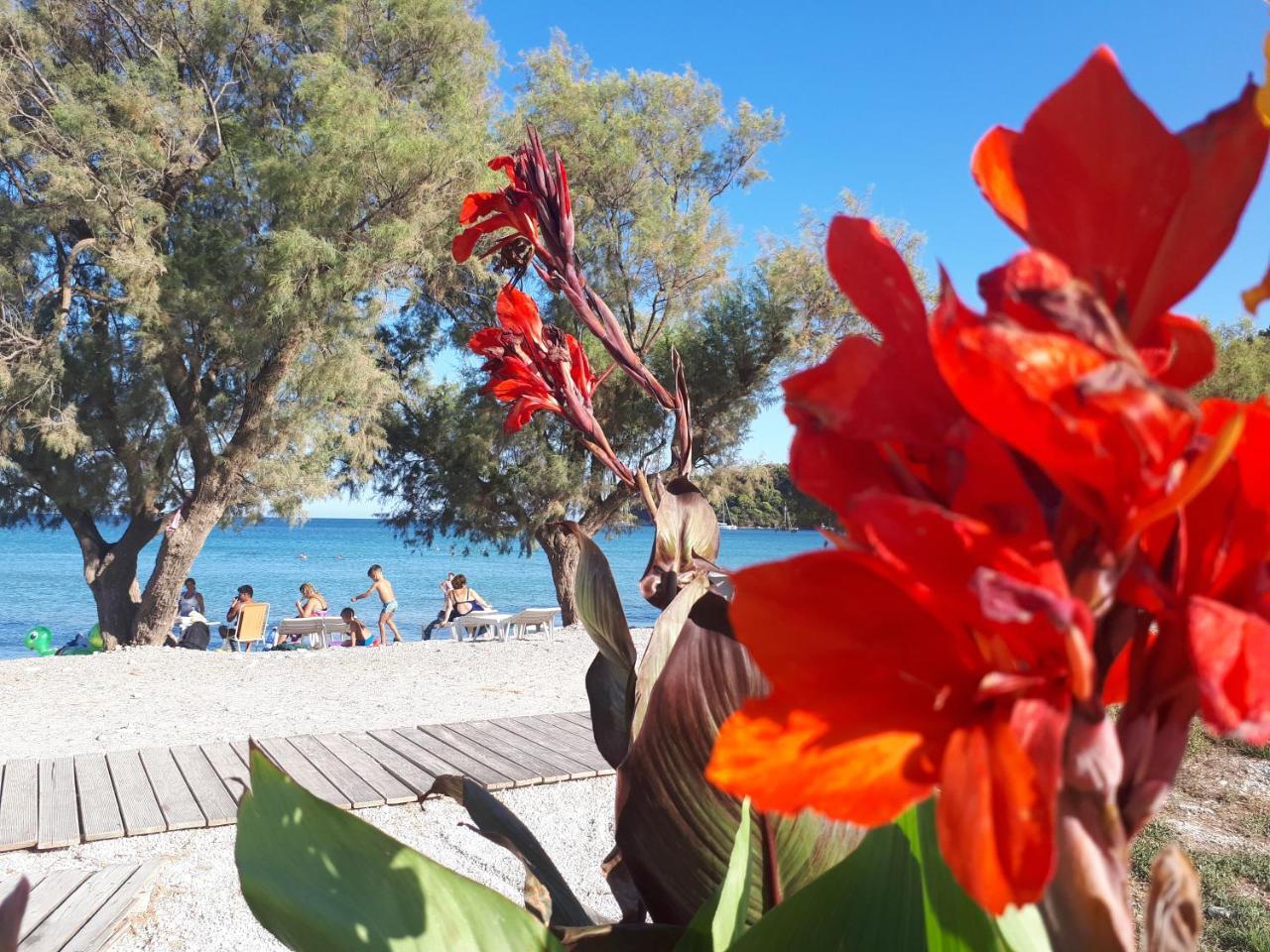 Zante Dahlia Hotel Laganas Bagian luar foto