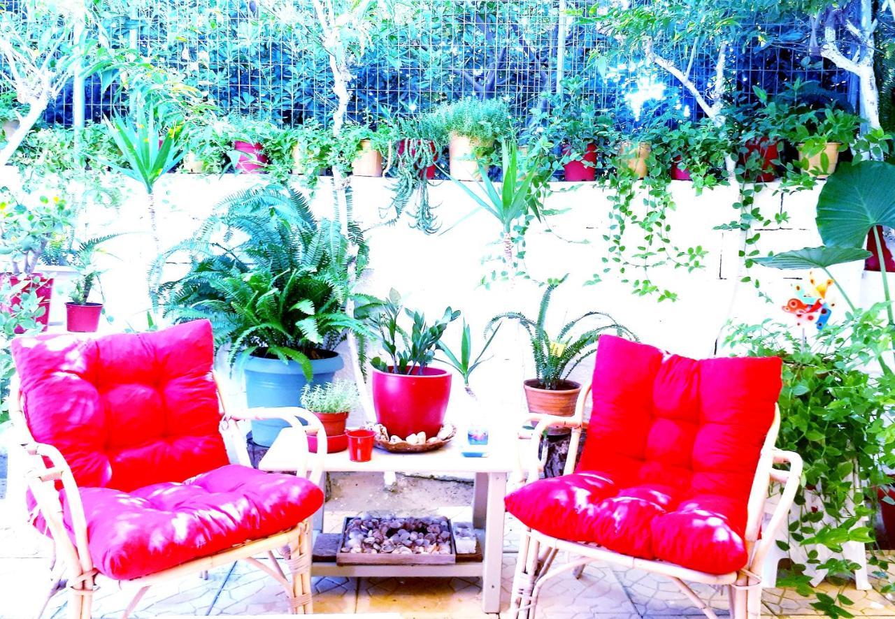 Zante Dahlia Hotel Laganas Bagian luar foto